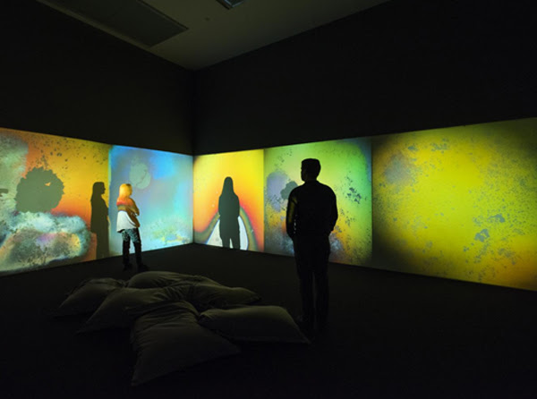 Tate Display From Matisse to Meireles - New displays at Tate Modern announced