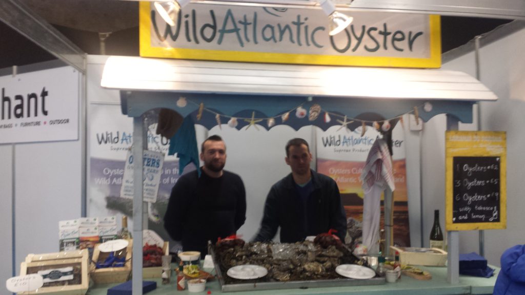 wild atlantic oysters