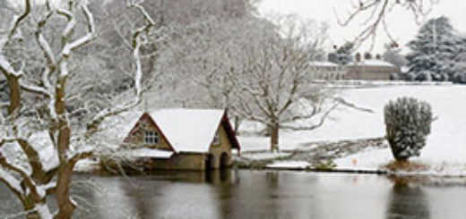 winter wonderland at carton; book now and save!