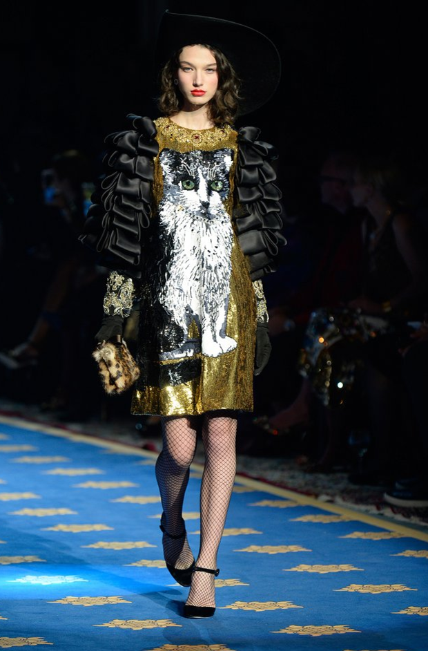 Dolce and Gabbana couture