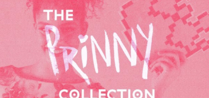 dresses.ie present: the prinny collection