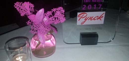 pynck wins tmt entertainment award 2017