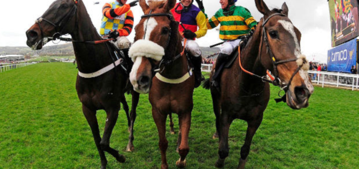 cheltenham