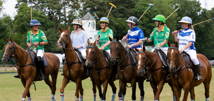 polo 1 1
