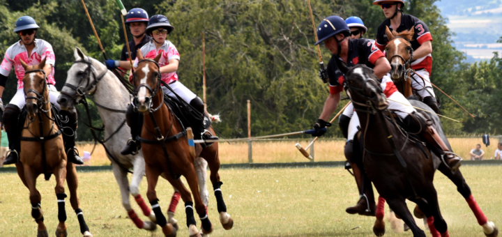 polo 1