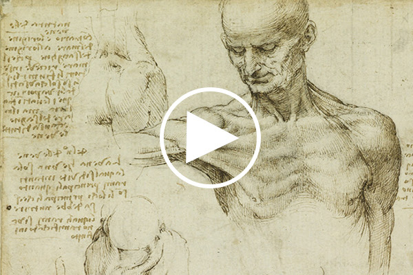 Leonardo da Vinci: A Closer Look