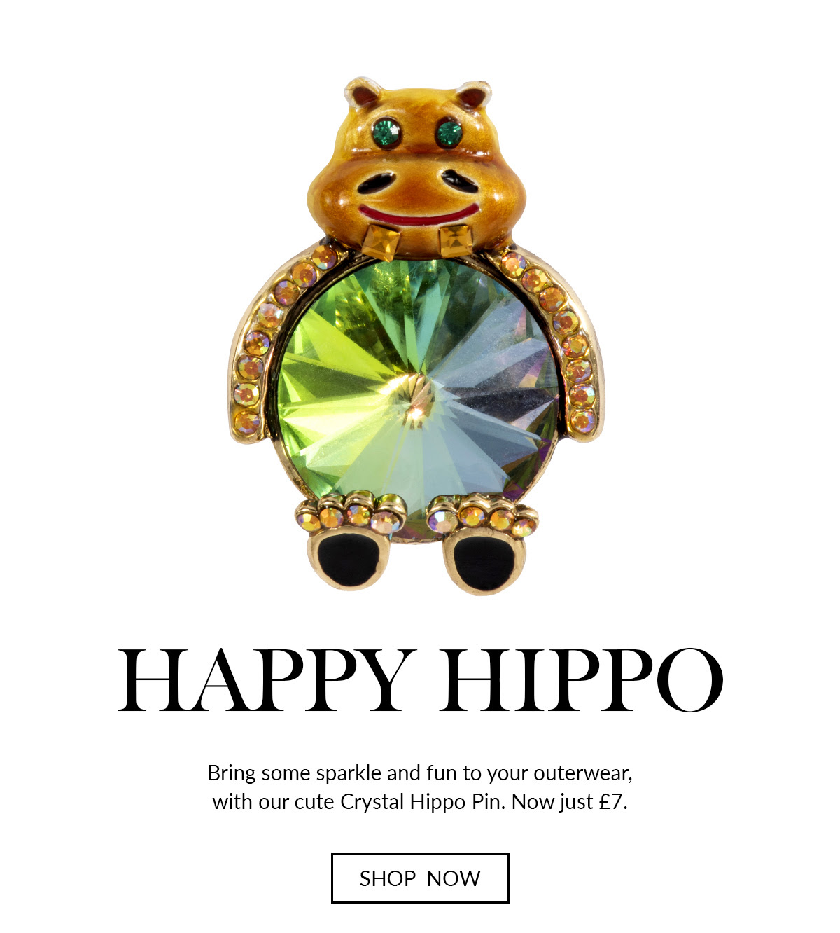 Butler & Wilson - Crystal Hippo Pin now just £7