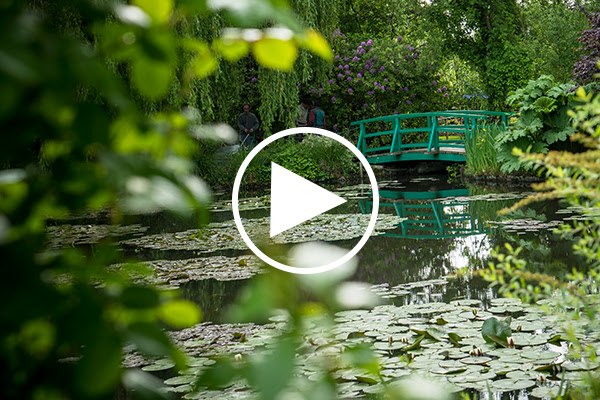 Friends of the Royal Academy - Step into Monet's garden
