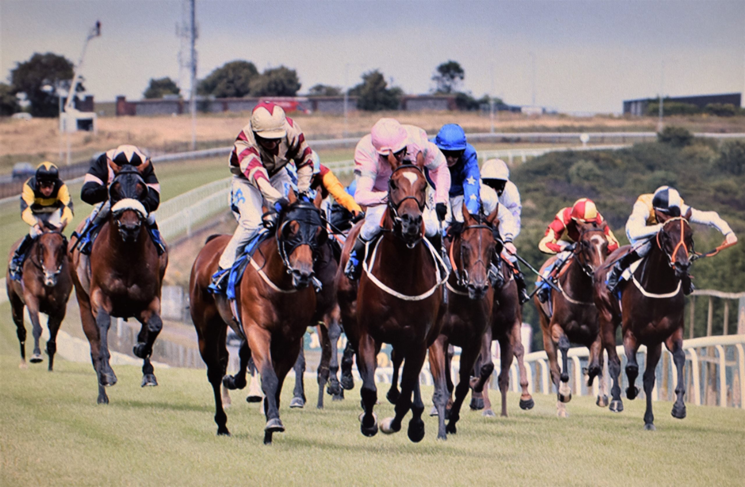 Horse betting. Хорс рейсинг. Конные скачки. Лошадь на скачках. Скачки конный спорт.