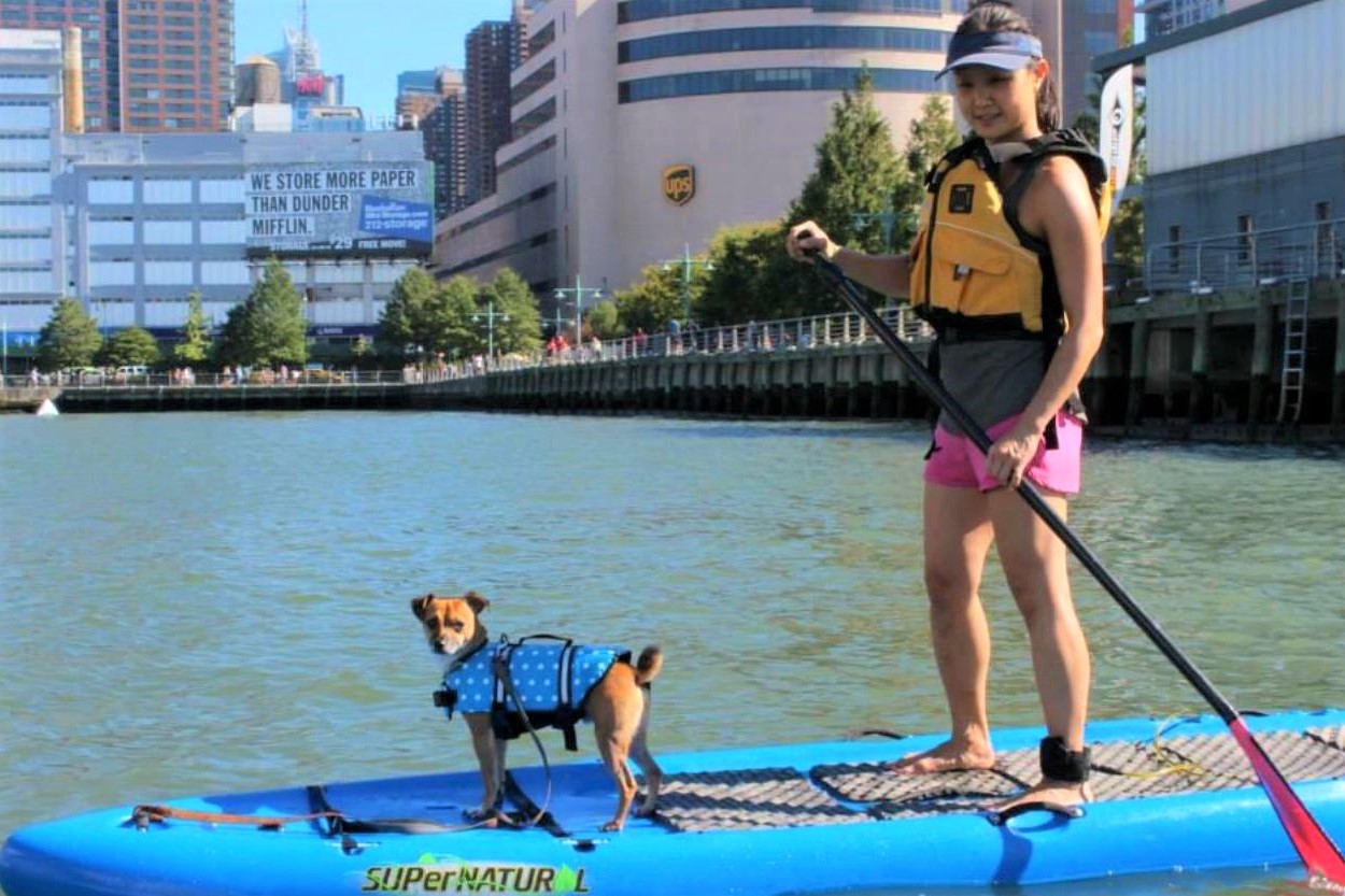 Kayak w dog NY by Boat, Pynck cropped.jpg