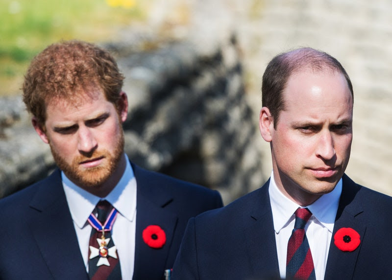 royal watch -Prince Harry and Prince William Respond to a Charity Complaint