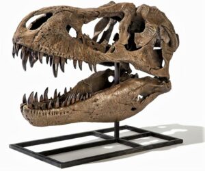 gem crowd t rex tucson show cropped jpg