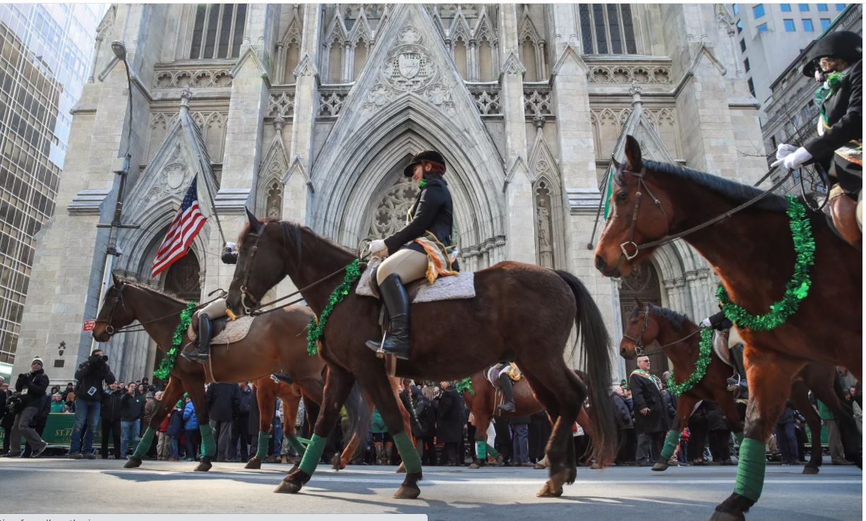 NY curbed horses st. pa,t st pat cathedral parade.JPG