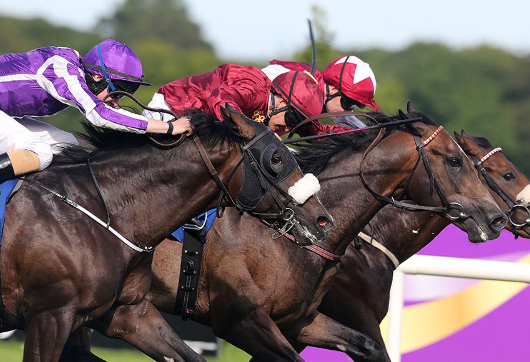 Summer racing at its best this August at Leopardstown Racecourse
