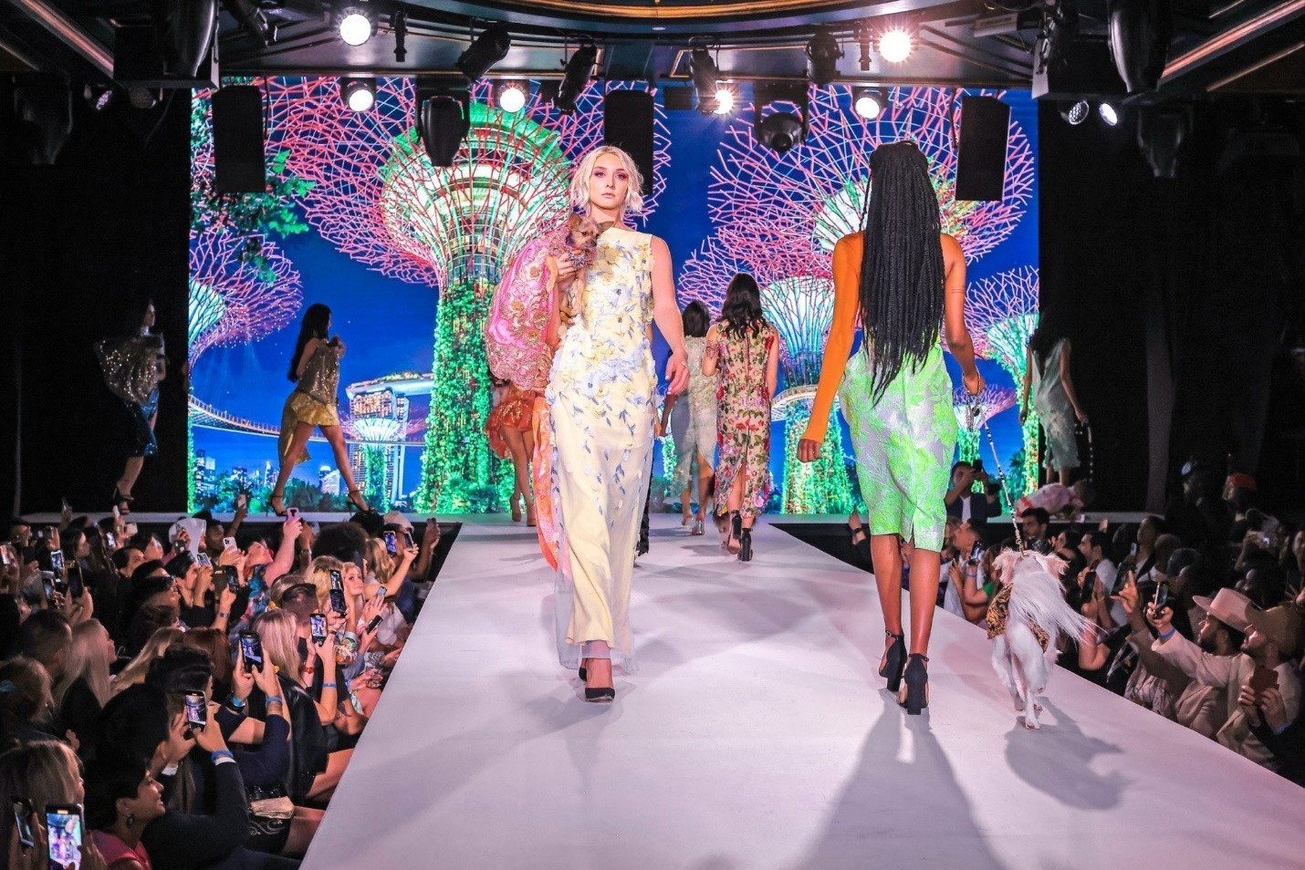 A group of women walking on a runway

Description automatically generated with medium confidence