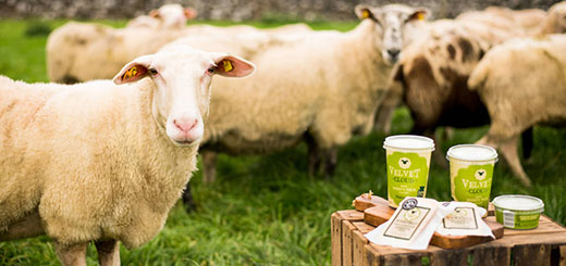 velvet cloud sheeps milk dukkah and springtime d 1
