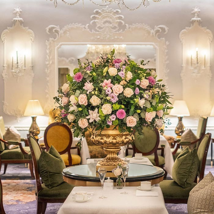 the dorchester a new chapter unfolds a