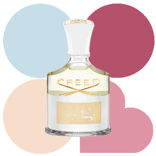 Harvey Nichols HN Loves Creed 1