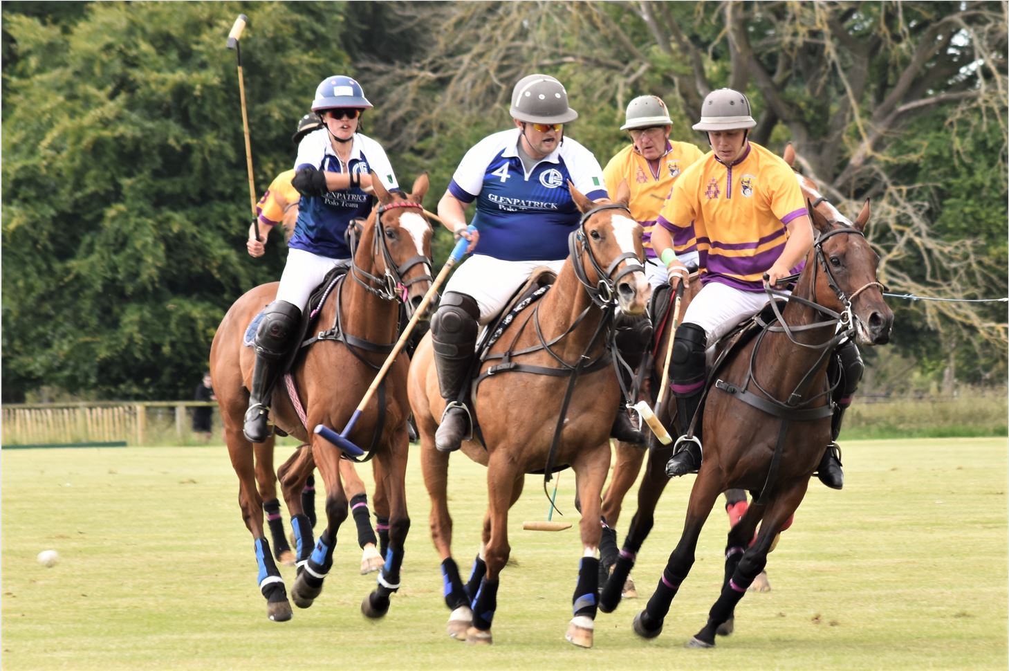 Derby Tournament paves the way to new energy in the game of Irish polo