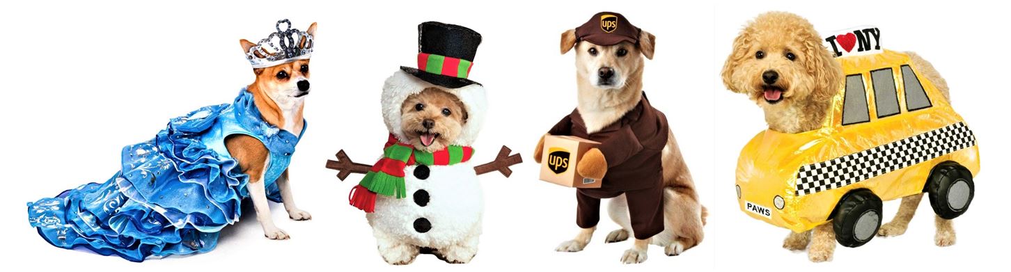 The Top Most Adorable Pet Halloween Costumes