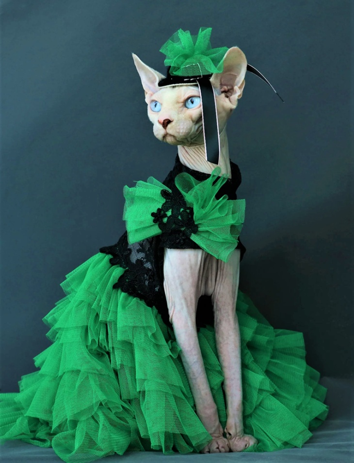 Halloween bespoke tails green gown cat etsy  (2).jpg