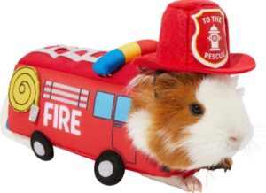 halloween chewy guinea pig fire truck jpg