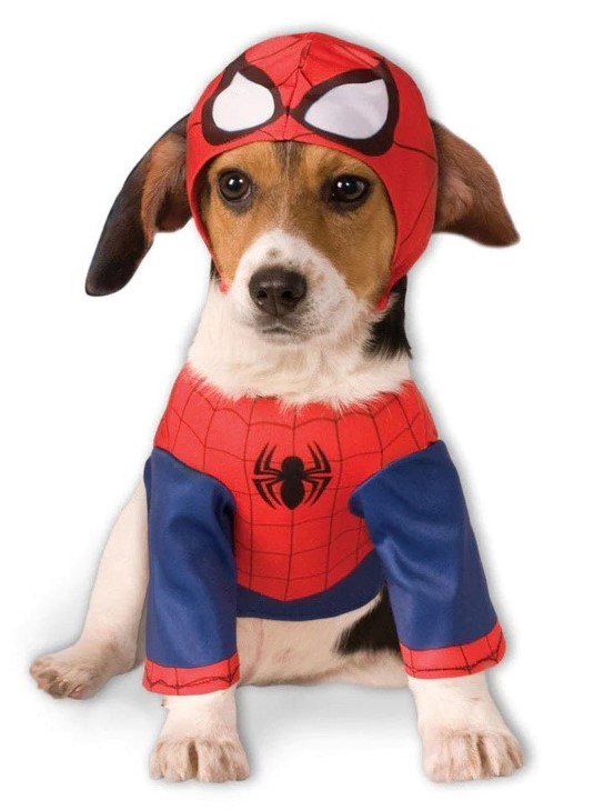 Halloween spiderman pup costumes dot com  (4) cropped.jpg