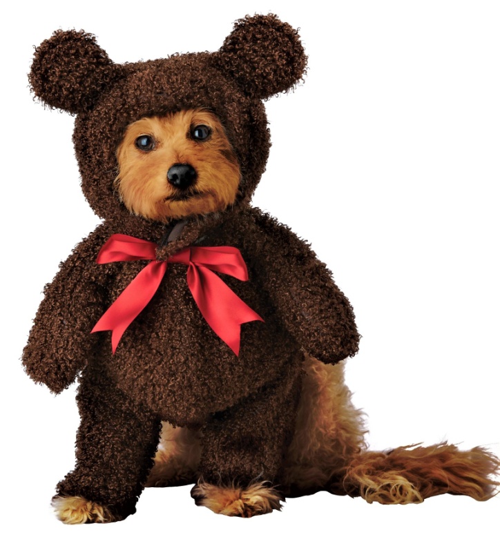 Halloween teddy-bear-pet-costume, halloweencostumes dot com  (2).jpg