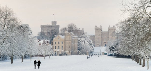 Royal Collection Trust Christmas at Windsor Castle 4f