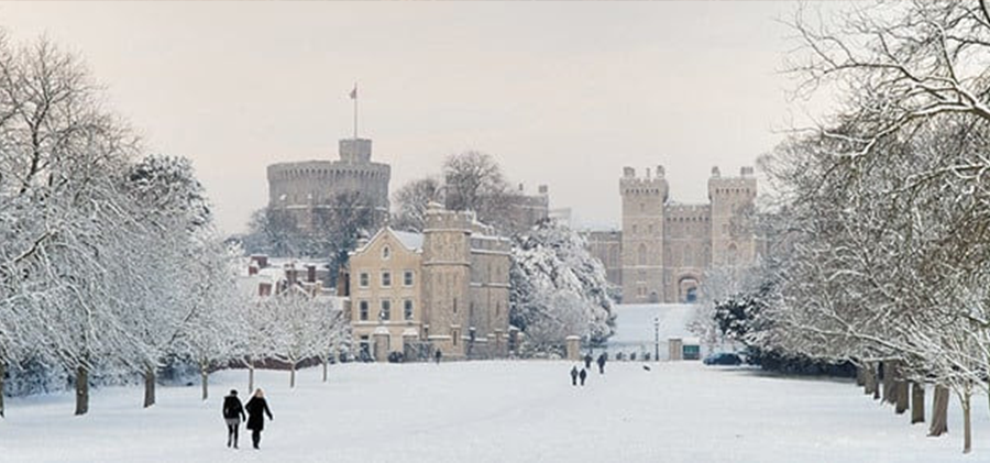 Royal Collection Trust - Christmas at Windsor Castle