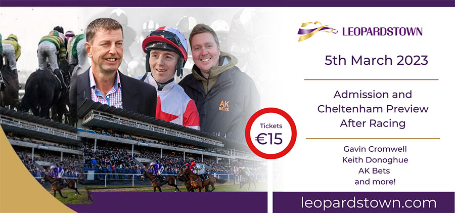 Leopardstown Racecourse - National Hunt Finale featuring a Cheltenham Preview