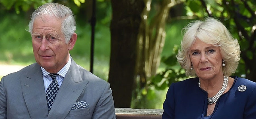 Royal Watch - King Charles and Queen Consort Camilla Postpone Trip to France Amid Protests