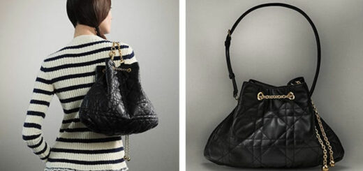 DIOR Discover the latest arrivals the Dior Ammi bags 3rd