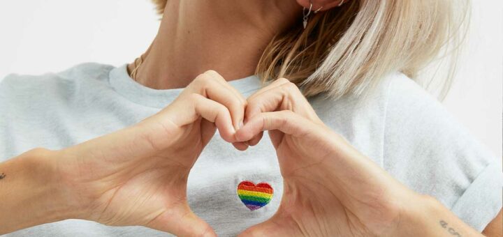 Rainbow Heart Embroidery Detail LGBTQ Pride T Shirt LGBT Apparel LGBT Clothing LGBT T Shirt BC3001 The Spark Company 2 1024x1024@2x