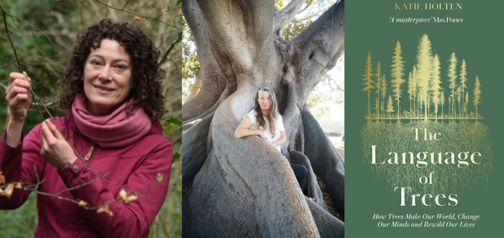I M M A Talk + Book Launch The Language of Trees by Katie Holten 1ac