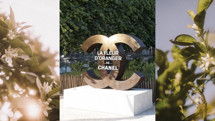 Chanel opens its garden: an olfactory journey around orange blossom