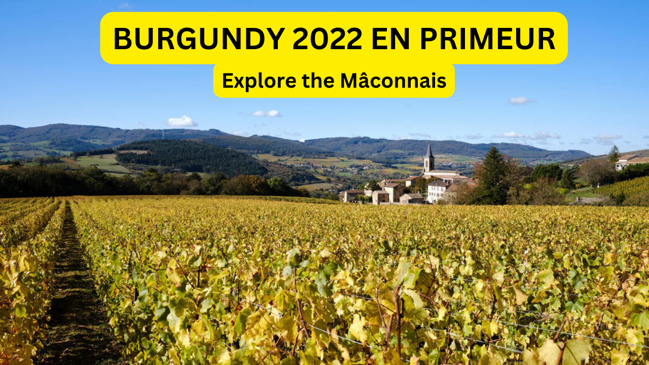 Wine Enthusiast's Delight - Exploring the White Wines of Mâconnais in Burgundy 2022!