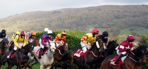 Leap into action at the Cheltenham Festival with four fantastic days of racing