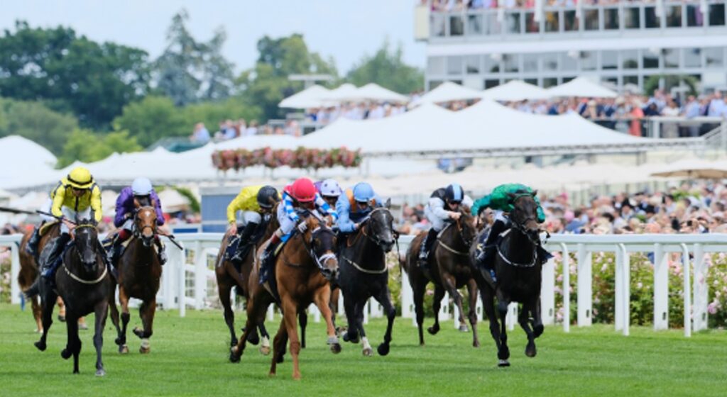 International contenders are set to light up the track at Royal Ascot
