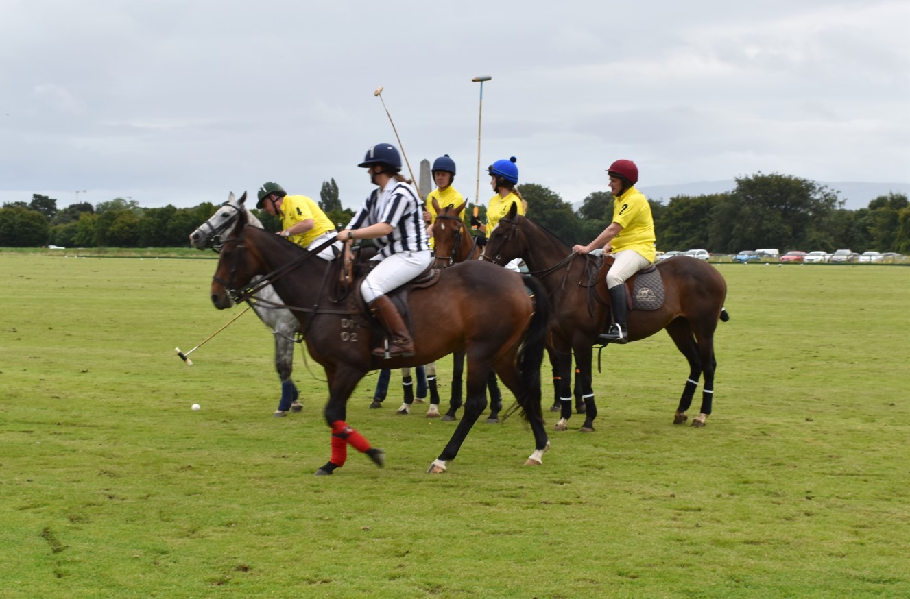 Jockeys and trainers to play at Polo in the Park fundraising lunch for Down Syndrome Dublin