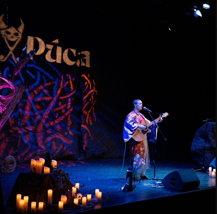 Catch top class traditional and contemporary music acts along with comedy and folklore at the Puca Festival in the Boyne Valley of Ireland & Ancient East