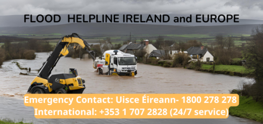 Copy of Wordpress Featured Image (7)