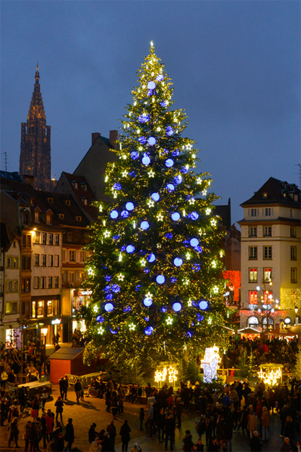 Xmas Strasbourg tree.jpg