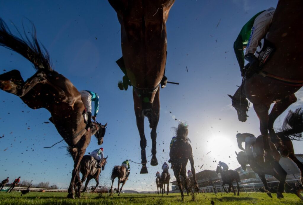 Christmas Racing Leopardstown