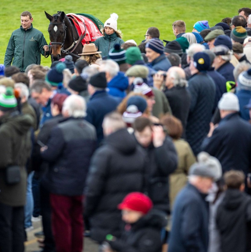 Punchestown Racecourse Parade Ring