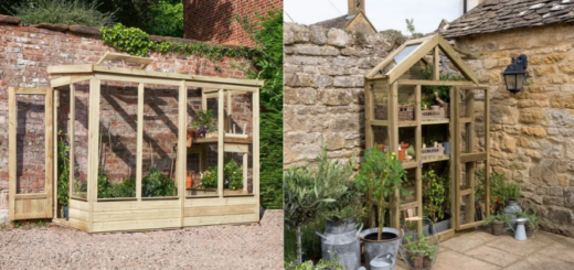 Copy of Wordpress Featured Image (4)