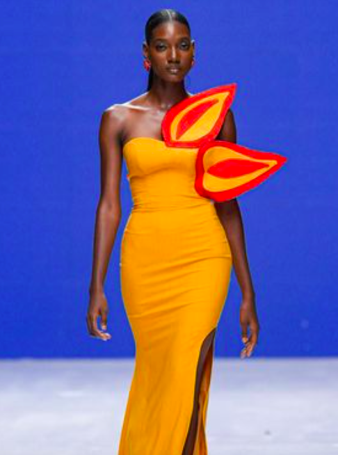 One of the most unforgettable frocks at Lagos S/S 2025, in one of the most unforgettable shades.