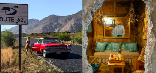 Copy of Wordpress Featured Image (4)