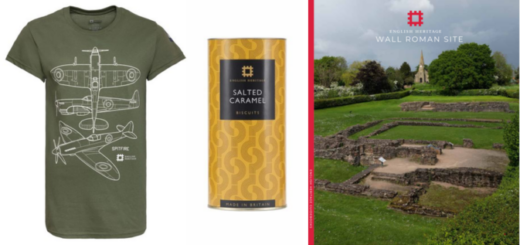 Copy of Wordpress Featured Image (4)