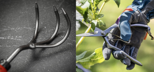 Copy of Wordpress Featured Image (6)